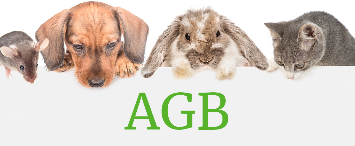 Headerbild AGB der Tierarztpraxis Wittrock