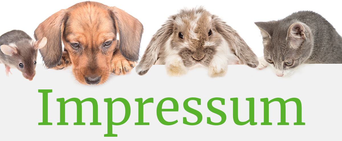 Headerbild Impressum der Tierarztpraxis Wittrock, Maus Hund Kaninchen und Katze schauen auf Überschrift "Impressum"