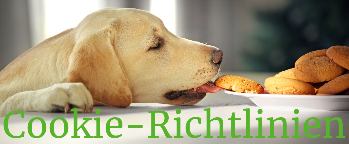 Hund frisst Keks, Headerbild für die Cookierichtlinien der Tierarztpraxis Wittrock