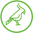 Icon zur Vogelmedizin aus dem Leistungsspektrums der Tierarztpraxis Wittrock